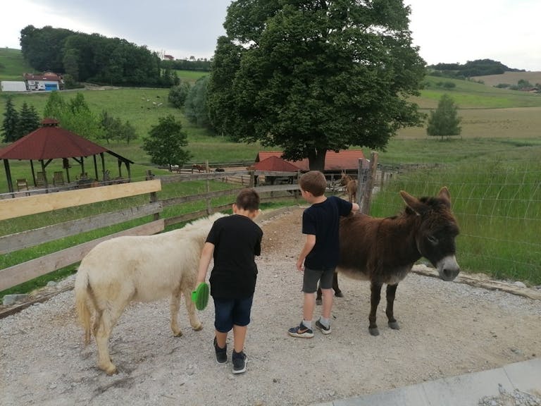 Počitniško varstvo na kmetiji